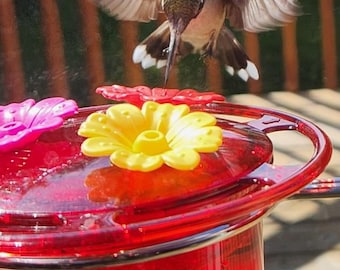 Hummingbird Window Feeder, Easy-Clean Design Decorative Garden Art gift, birthdays, Christmas, Easter, New Year's, weddings, Mother's Day