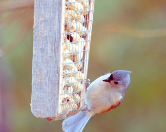 Barnwood, Suet feeder, wood peakers, Peanut, cakes, gift, birthdays, Christmas, Easter, New Year's, weddings, Mother's Day, Father's Day