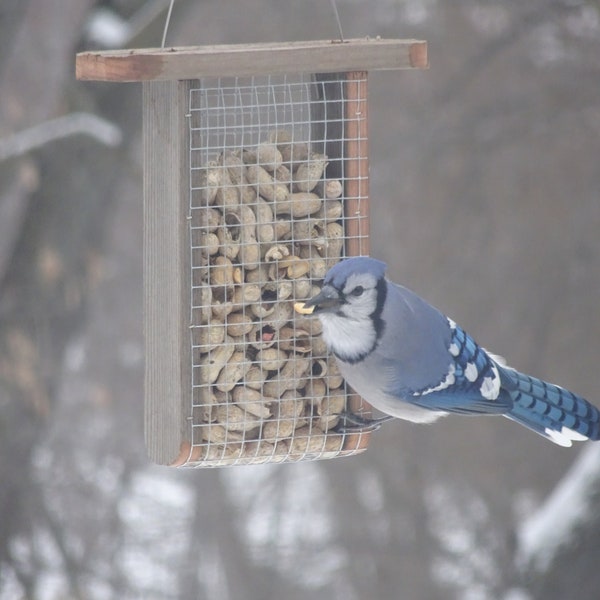 Peanut feeder great for outdoors free shipping, hand made and maintenance free