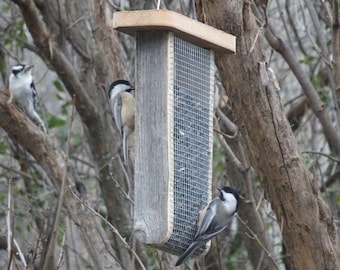 Sunflower feeder, woodpeckers, chickadees, cardinals, nuthatches, gift for birthdays, Christmas, Easter, New Year's, weddings, Mother's Day