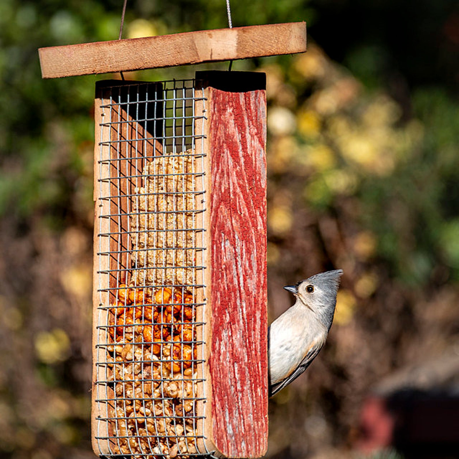Barn Wood Suet Feeder Great for Outdoors Free Shipping Hand Etsy Canada
