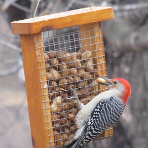 Barn wood Peanut feeder great for outdoors free shipping, hand made and maintenance free image 2