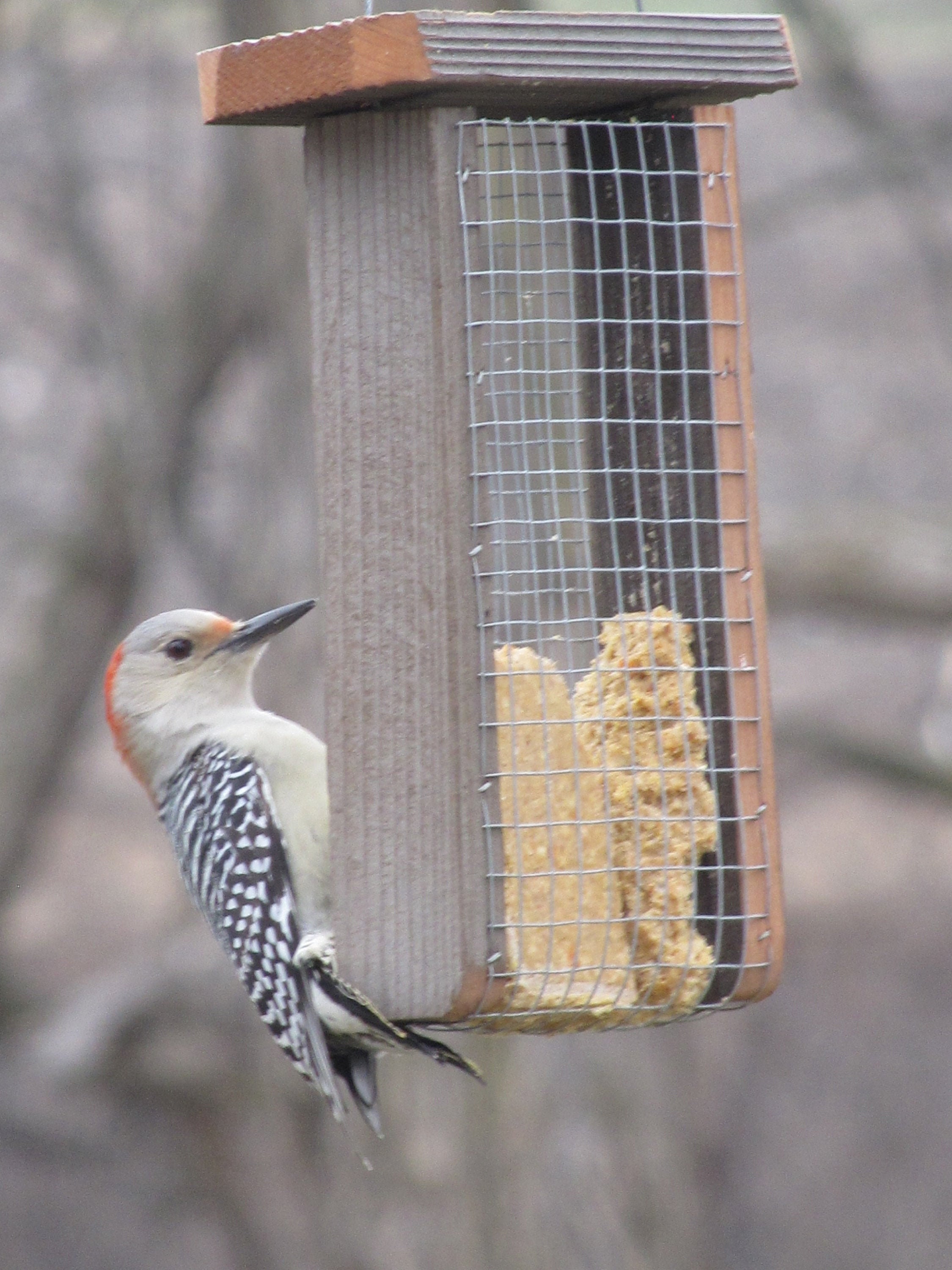 Barn Wood Suet Feeder Great for Outdoors Free Shipping Hand Etsy Canada