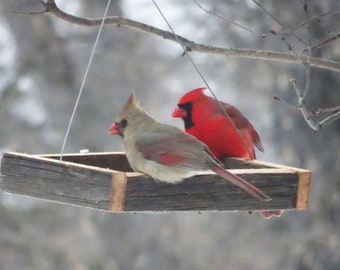 Barn Wood Thistle Feeder: Finch, Chickadee, Nuthatch, Barnwood, present, gift for birthdays, Christmas, Easter, New Year's, weddings