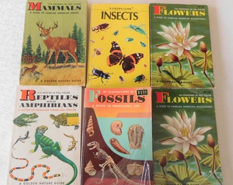 Golden Nature Guide, Fossils Golden Nature Guide, Reptiles Book, Vintage Nature Book, Insects Nature Guide, Vintage WildFlowers book