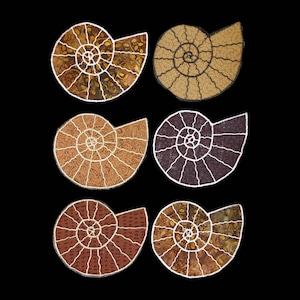 May include: Six decorative ammonite-shaped coasters in various shades of brown, purple, and orange. Each coaster features a white outline of the ammonite's spiral shape.