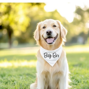 Big Bro | Big Sis | Pet Bandana | Pregnancy Announcement