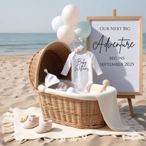 Beach Pregnancy Announcement