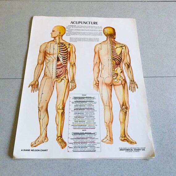 Acupuncture Wall Chart