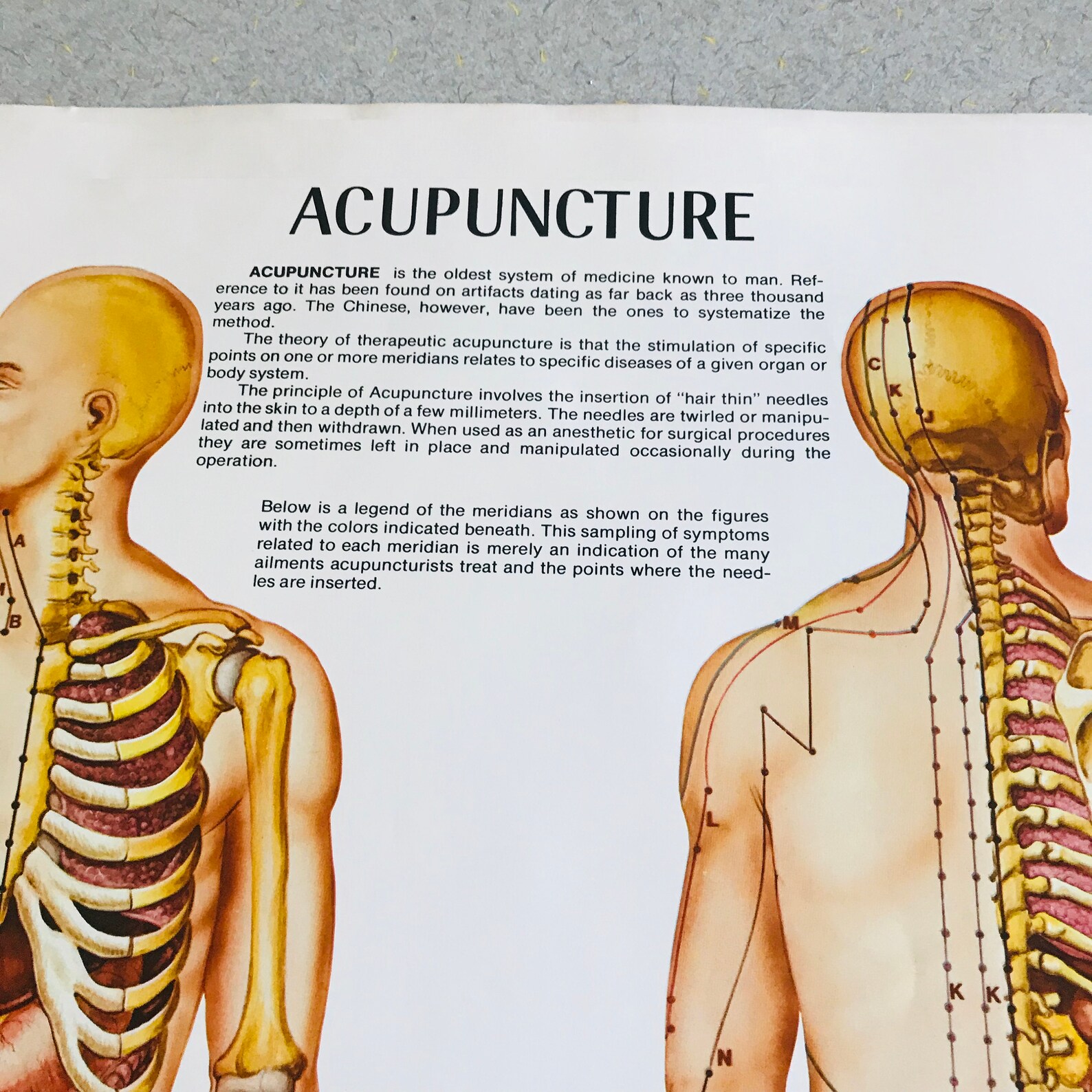 Acupuncture Medical Wall Chart 1973 Anatomical Chart Co. Chi. Etsy