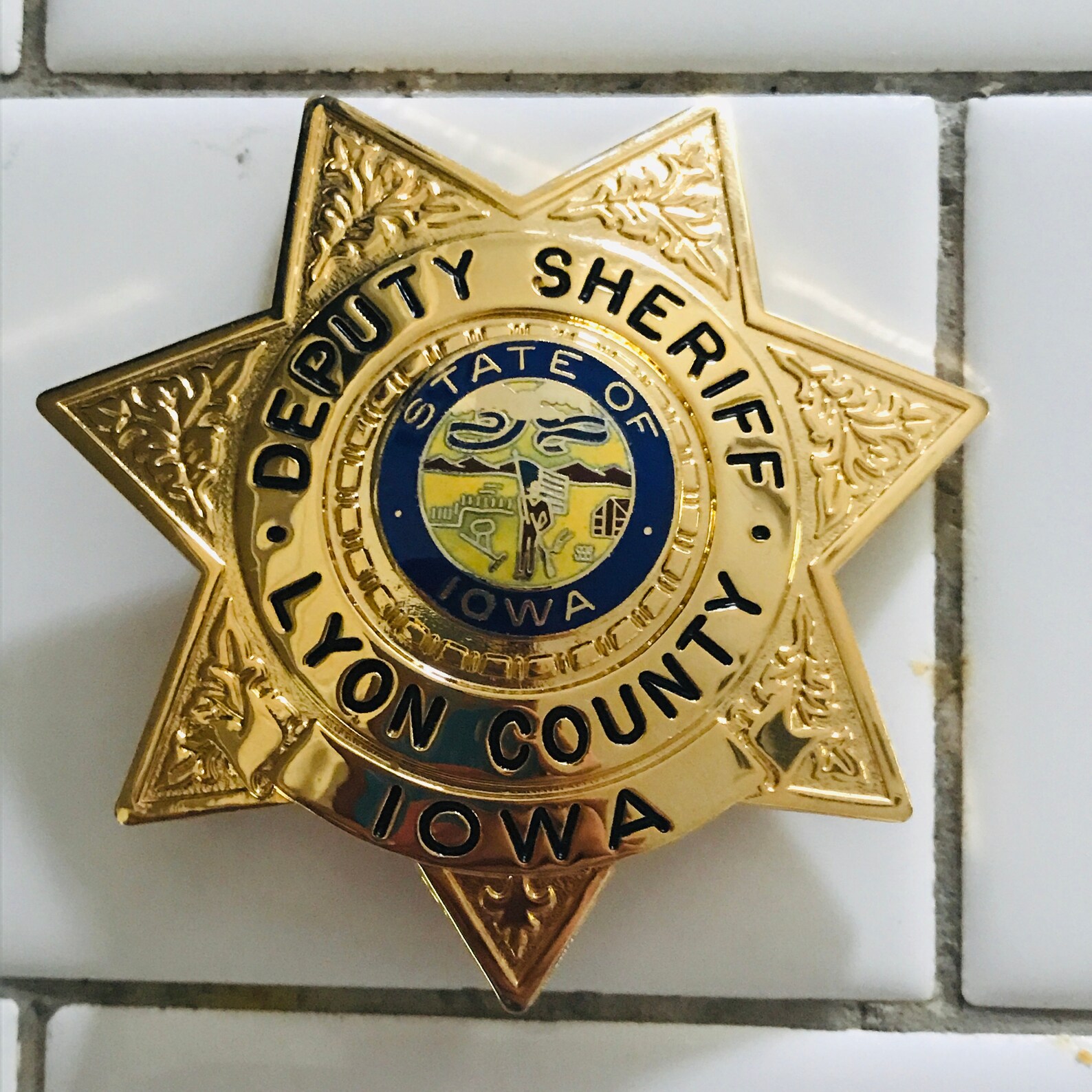 Obsolete Badge Deputy Sheriff Lyon County Iowa Gold With Blue Etsy
