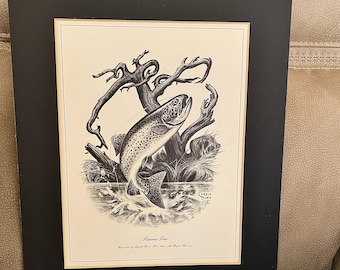 Rainbow Trout Art Print: Lyndle Dunn Fishing Illustration