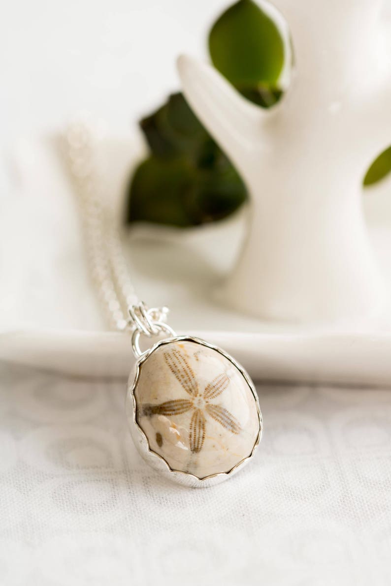 Fossilized Sand Dollar Necklace Real Sand Dollar Jewelry Sea Etsy