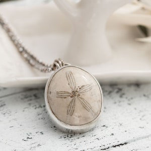 Fossilized Sand Dollar Necklace, Real Sand Dollar Jewelry, Sea Biscuit Necklace, Sterling Silver Sand Dollar Necklace, Ocean Lover Gift,