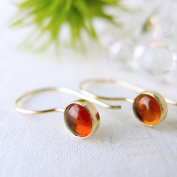 Amber and Gold Earrings, Amber Jewelry, Gold Dangle Earrings, Amber Drop Earrings, Minimalist Gold Earrings, 14k Solid Gold Earrings, Baltic