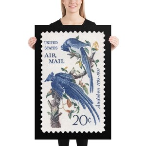 US Stamp #C71 - 1967 - 20 Cent - Quallenhäher - Plakatdruck
