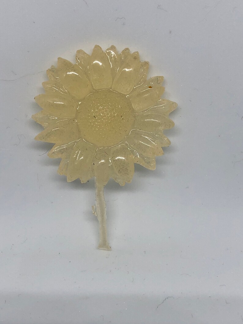 Clear sunflower Clear sunflower