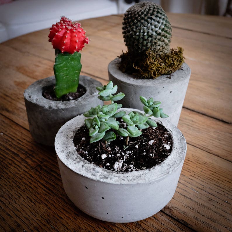 Reburn Collection Recycled Candle and Concrete Planter Etsy