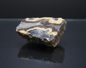 Polished Schalenblende - Pomorzany Mine, Poland - Miniature Mineral Specimen