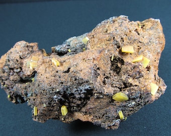 Yellow Wulfenite on Goethite - Mapimi, Mexico - Cabinet Specimen
