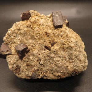 Goethite Pseudomorphs after Pyrite on Matrix - Elko County, Nevada - Cabinet Mineral Specimen
