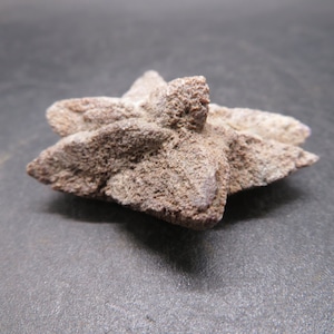 Glendonite - Calcite after Ikaite - Bering Sea Coast, Alaska - Thumbnail Mineral Specimen