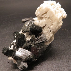 May include: A cluster of black, shiny, elongated crystals on a white, rough, mineral matrix.