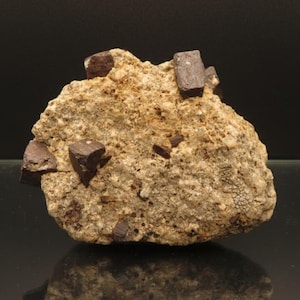 Pseudomorfos de goethita de pirita en matriz - Condado de Elko, Nevada - Muestra mineral de gabinete