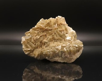 Muscovite and Quartz - Bahia, Brazil - Cabinet Mineral Specimen
