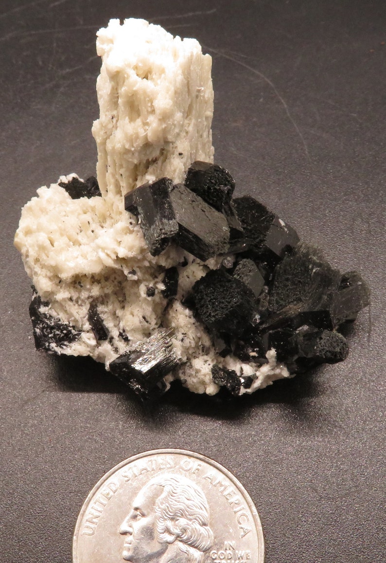 May include: A cluster of black schorl crystals on a white albite matrix. The crystals are sharp and well-formed, and the matrix is rough and textured. The specimen is about the size of a quarter.