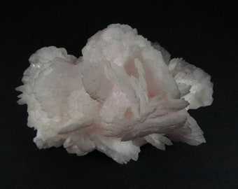 May include: A cluster of pink selenite crystals, with a delicate, layered structure. The crystals are translucent and have a soft, pearly sheen.