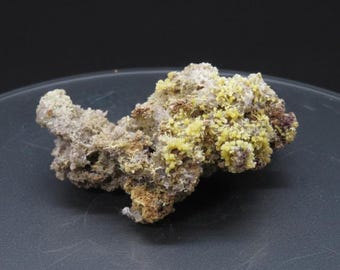 Green Mimetite on Goethite - Mapimi, Mexico - Minitature Mineral Specimen