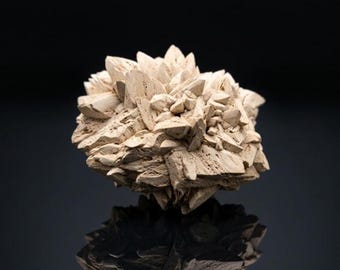 Glendonite (Calcite after Ikaite) - Balakhnya River, Russia - Small Cabinet Mineral Specimen