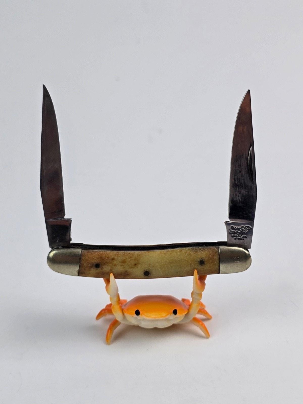Frost Cutlery Surgical Steel 2-blade Pocket Knife Stag Handle