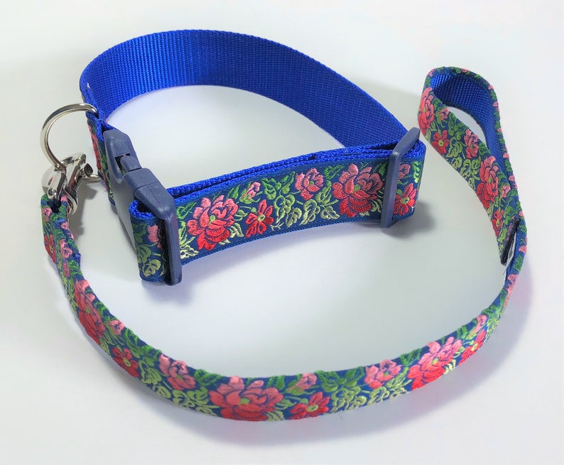large breed dog collars and leashes
