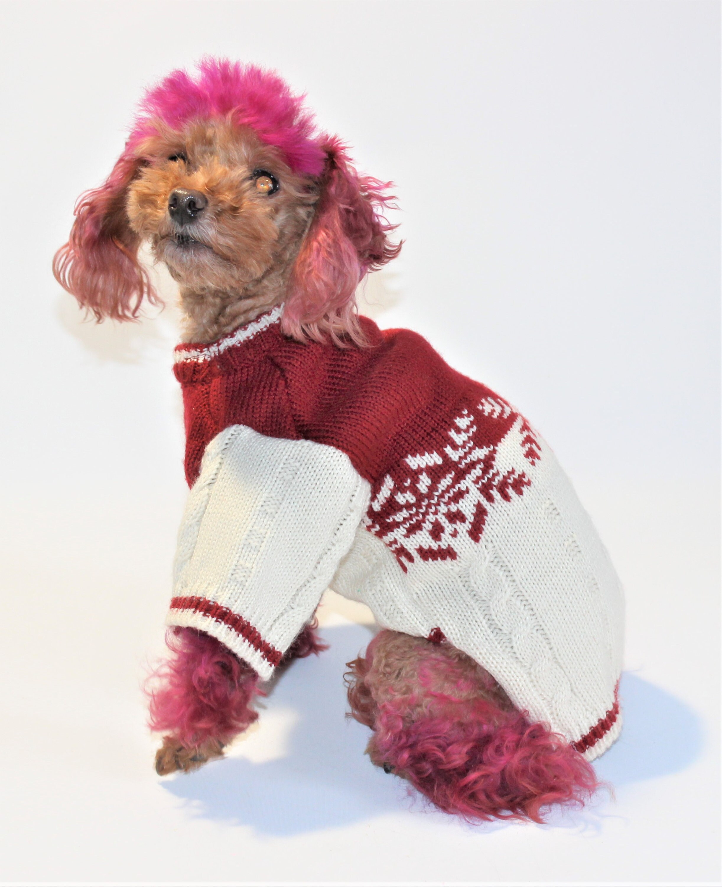upcycled dog sweater