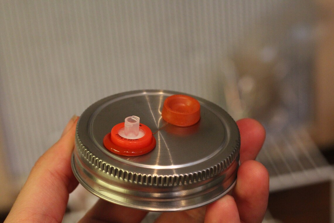 Stainless Steel Mushroom Jar Lid With Injector Port Filter Etsy