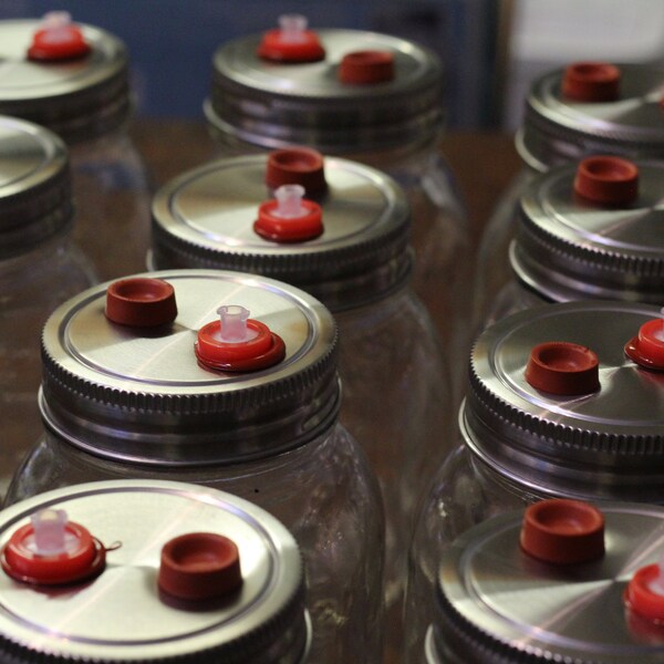 Liquid Culture Jar Etsy