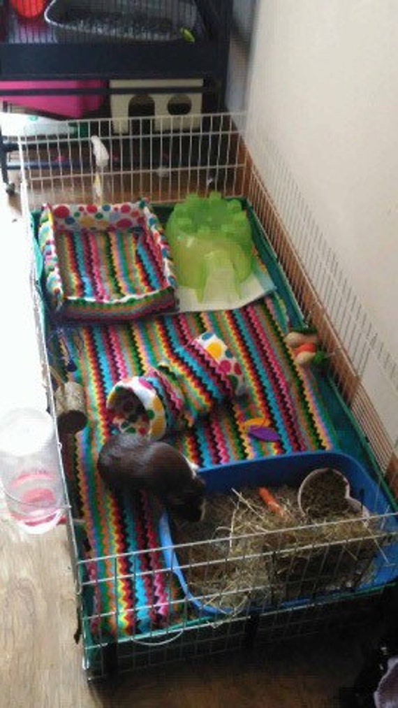 custom made guinea pig cages