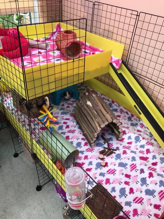 custom made guinea pig cages