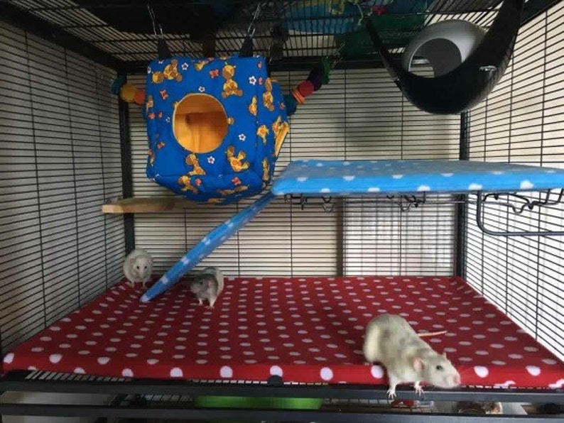 Custom Order Single Critter Nation Cage Liners rats Ferrets Etsy UK