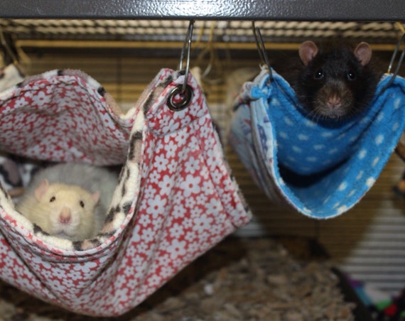 Sur mesure sur commande cage pour petits animaux de 6 pièces et ensemble de  jeu rat, degu, hamster -  France