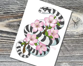 May include: A black and white snake with a light blue underbelly is curled around a branch of pink cherry blossoms. The snake is coiled in a spiral shape, with its head at the top of the image. The cherry blossoms are in full bloom, with delicate petals and green leaves. The image is set against a white background.