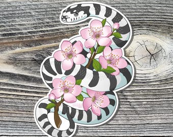 May include: A black and white snake with a light blue underbelly is wrapped around pink cherry blossoms. The snake is curled up in a circle with its tail tucked under its body. The cherry blossoms are in full bloom and have delicate pink petals.