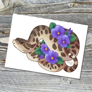 Western Hognose Snake Photo Print: Violets, Home or Office Decor