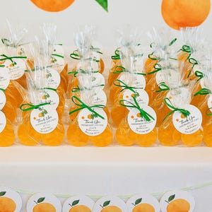 Little Cutie Baby Shower Favors - Set of 5 Orange Slice Soaps | Custom Scent & Tag Wording | Twin Baby Shower Favor | Citrus Party Favors