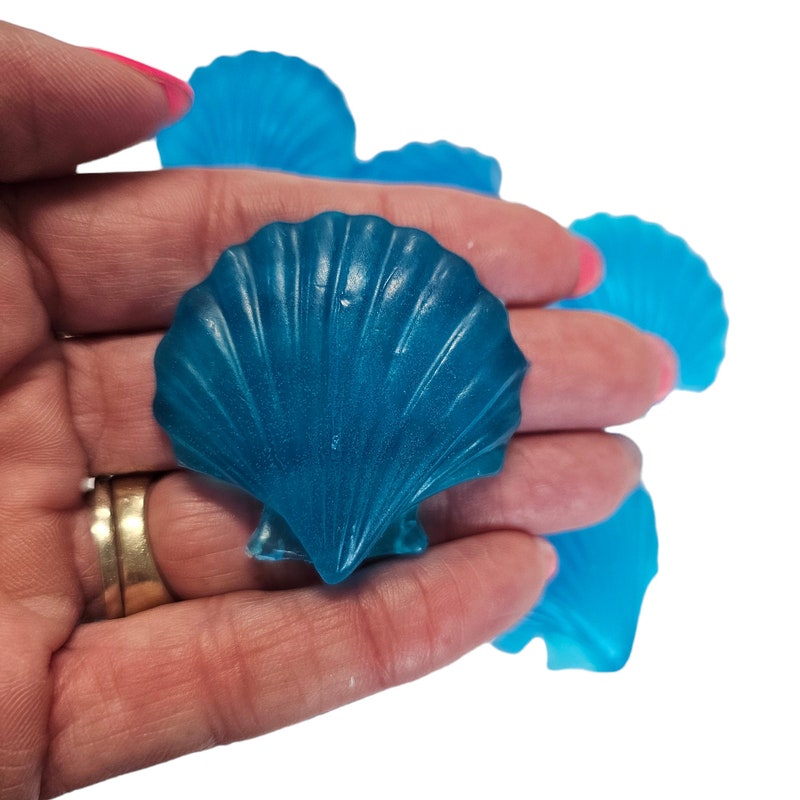 Seashell Favors - Etsy