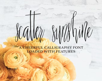 Scatter Sunshine - a Hand Lettered Script Font | Tall | Quirky | Elegant | Rustic | Perfect For Weddings or Feminine Designs / Social Media