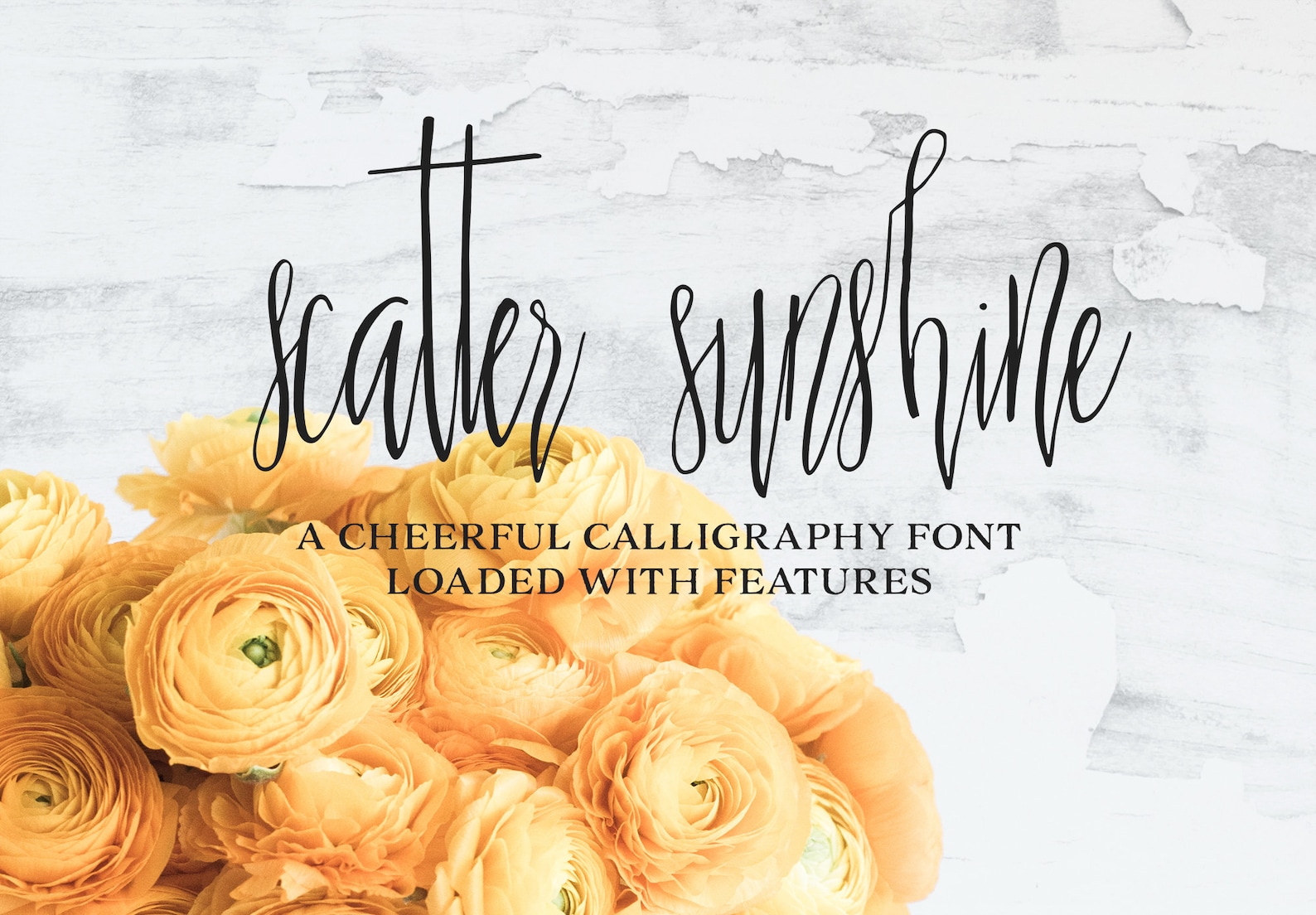 Font loaded
