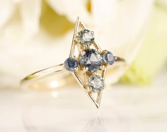 Montana Sapphire 14k Gold Frame Ring